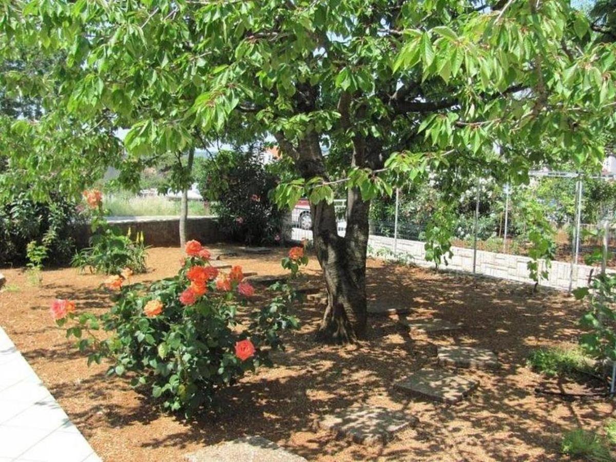 פונאנט Apartments Nikola מראה חיצוני תמונה