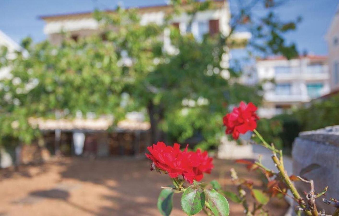 פונאנט Apartments Nikola מראה חיצוני תמונה